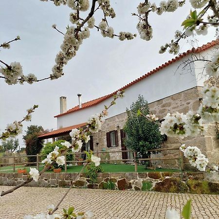 Villa A Casa Do Soito Oliveira do Hospital Exterior foto